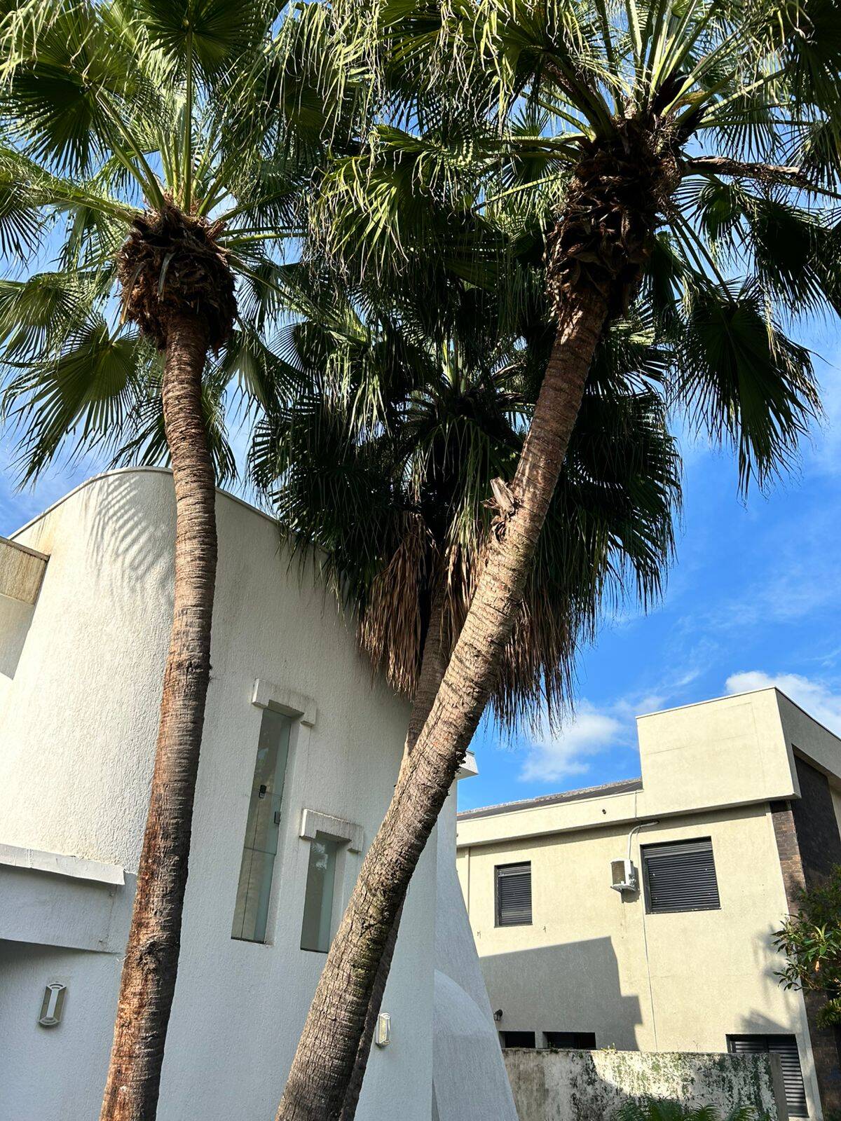 Casa, 4 quartos, 342 m² - Foto 2