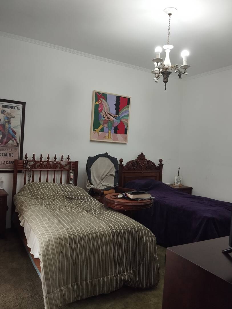 Casa, 4 quartos, 451 m² - Foto 13