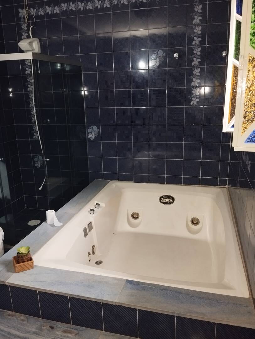 Casa, 4 quartos, 451 m² - Foto 18