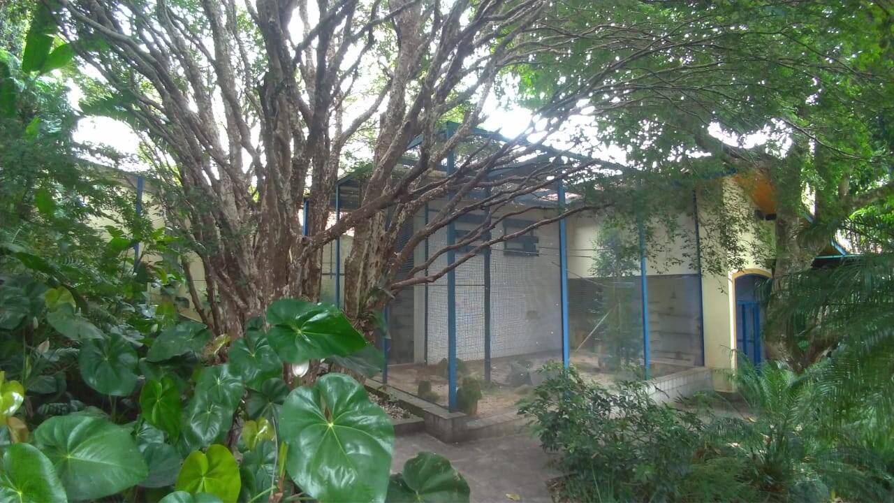 Casa, 3 quartos - Foto 11