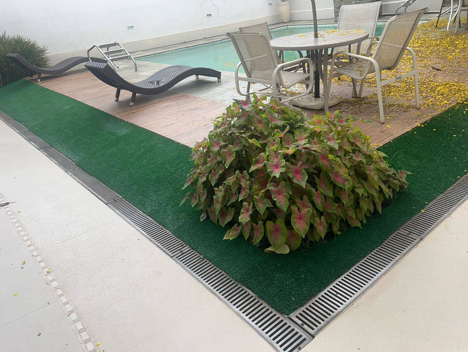 Casa, 5 quartos, 560 m² - Foto 18