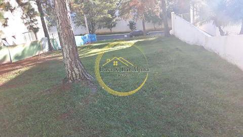 Terreno, 600 m² - Foto 6