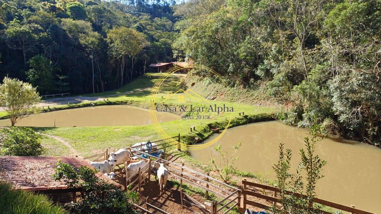 Sítio, 4 quartos, 6 hectares - Foto 2