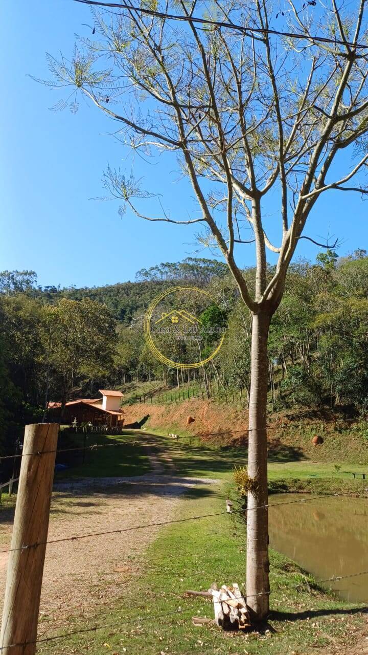 Sítio, 4 quartos, 6 hectares - Foto 3